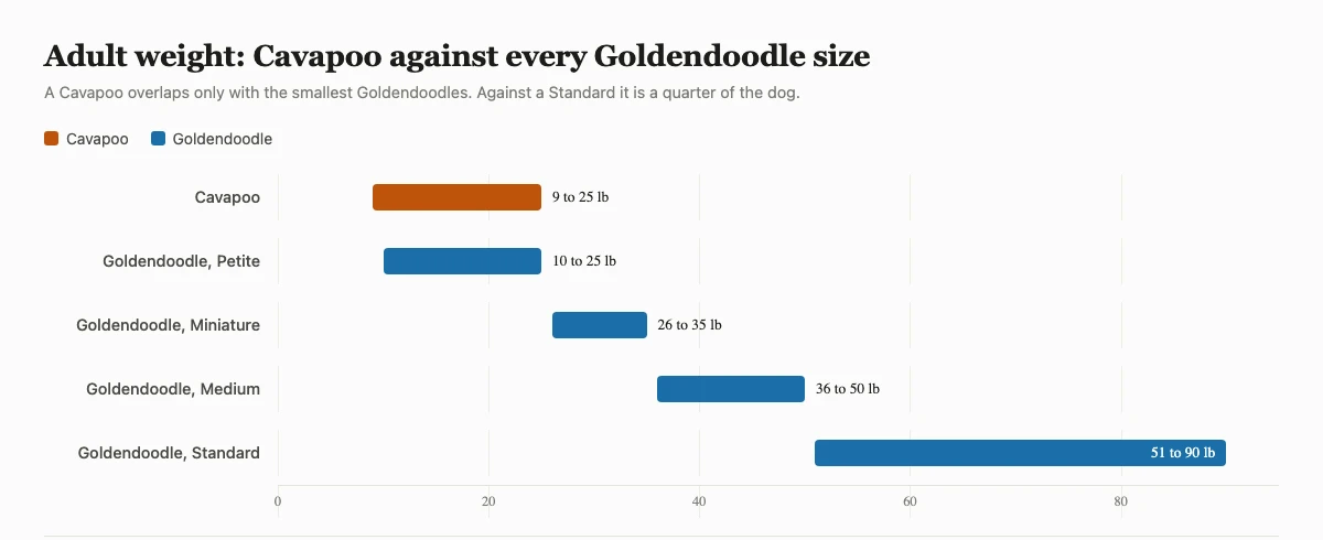 Horizontal bar chart comparing adult weight of a Cavapoo at 9 to 25 pounds against Goldendoodle Petite, Miniature, Medium and Standard sizes up to 90 pounds